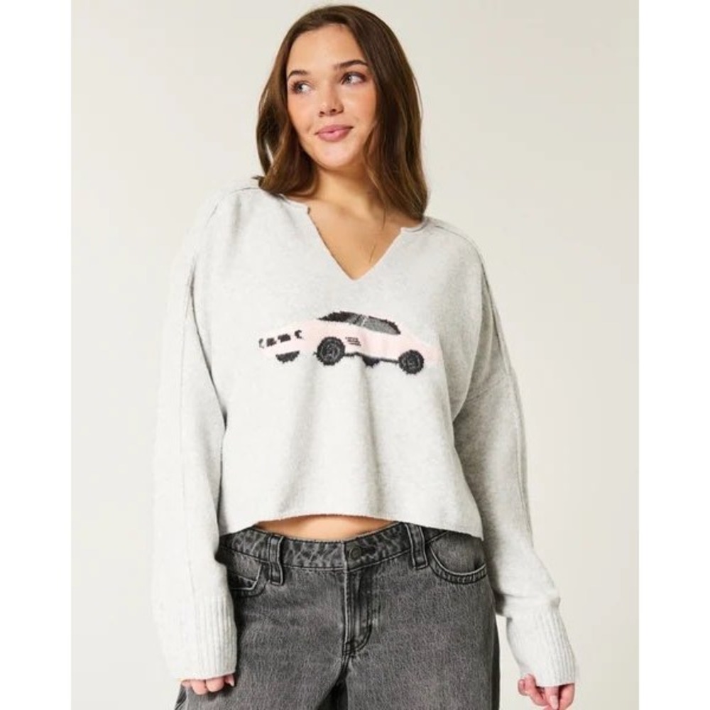 Hollister Gray Cropped V-Neck Sweater Pink Car Graphic XS